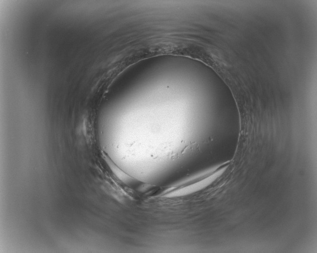 X0000067871109200604131229