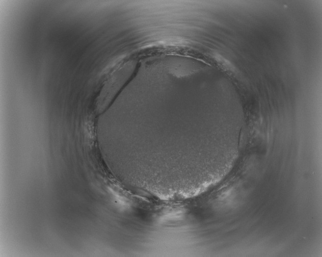 X0000067871110200604131229