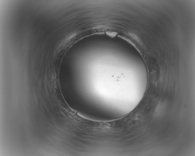 X0000067871111200604131229