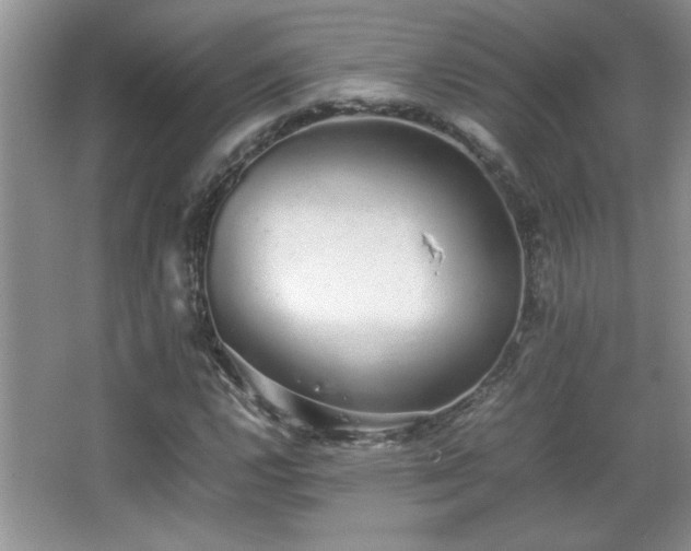 X0000067871112200604131229