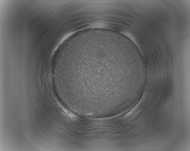 X0000067871115200604131229