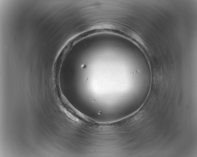 X0000067871116200604131229