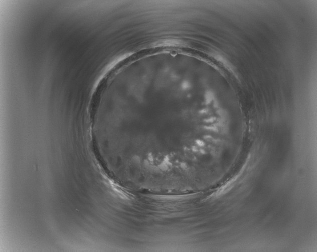 X0000067871117200604131229