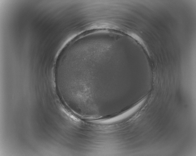 X0000067871120200604131229