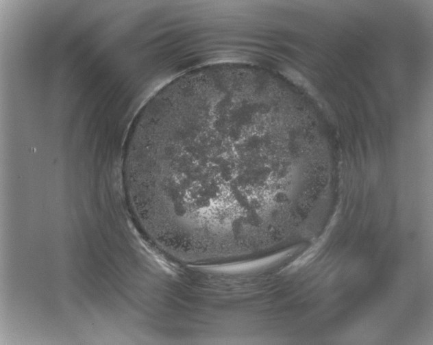 X0000067871121200604131229