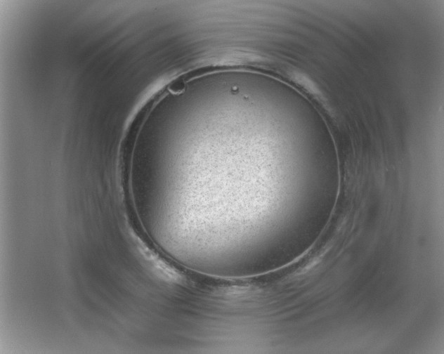 X0000067871122200604131229