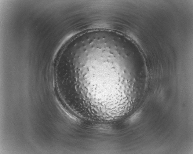 X0000067871123200604131229