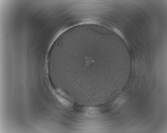 X0000067871124200604131229