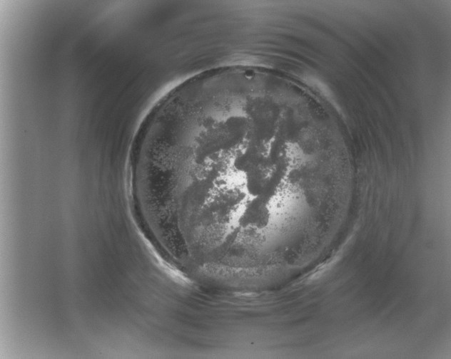 X0000067871125200604131229