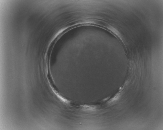 X0000067871127200604131229