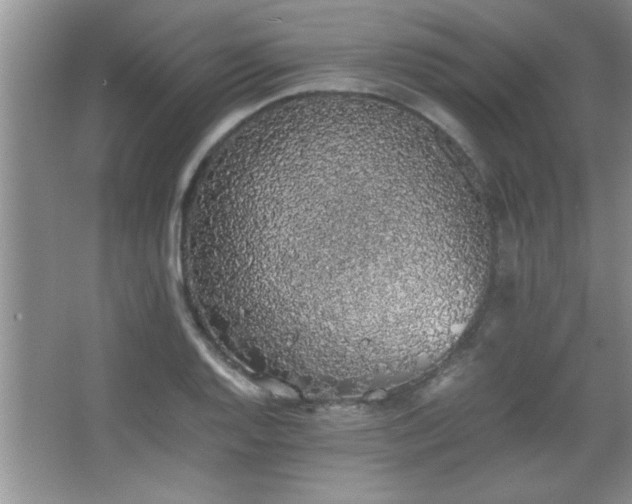 X0000067871128200604131229