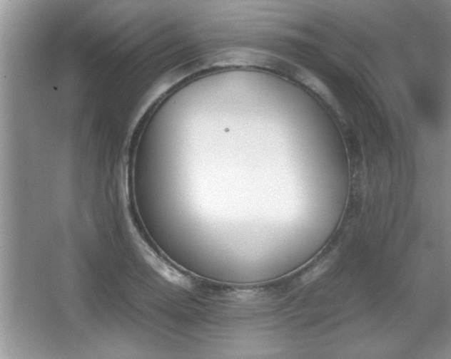 X0000067871130200604131229