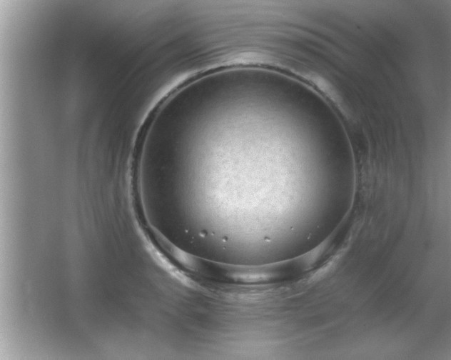 X0000067871134200604131229