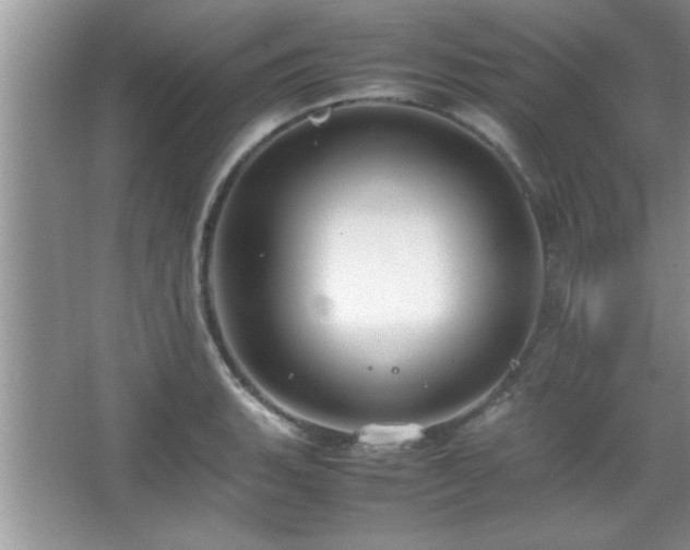 X0000067871135200604131229