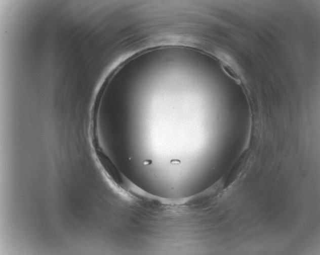 X0000067871136200604131229