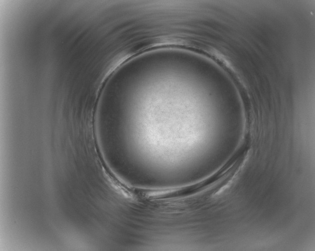 X0000067871137200604131229