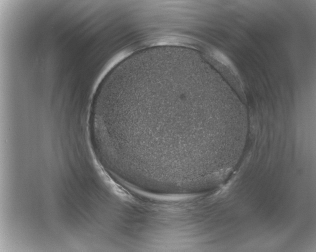 X0000067871138200604131229