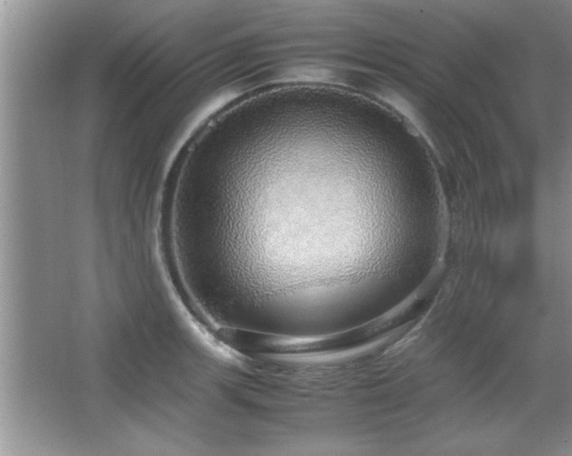 X0000067871139200604131229