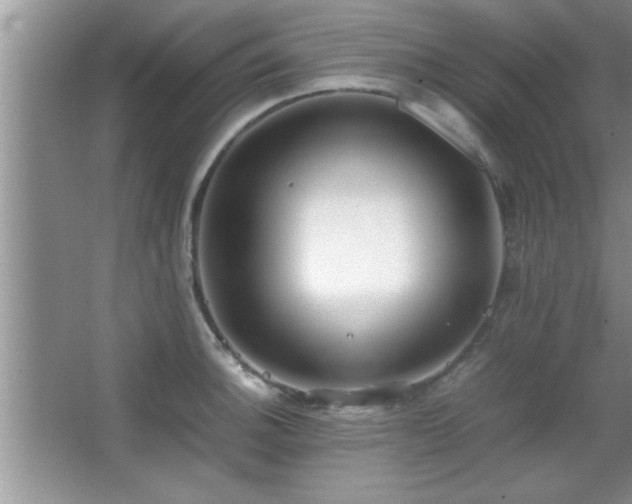 X0000067871140200604131229