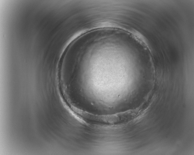 X0000067871142200604131229