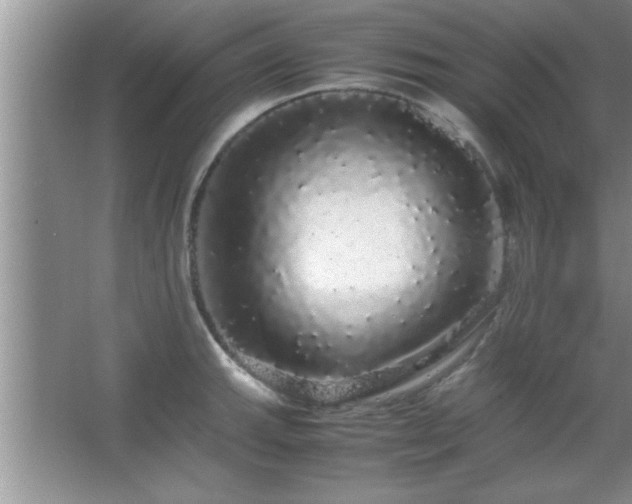 X0000067871143200604131229