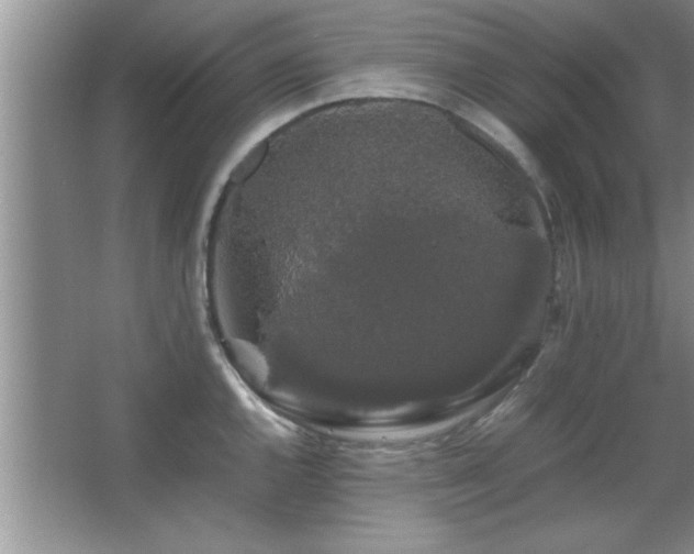 X0000067871144200604131229