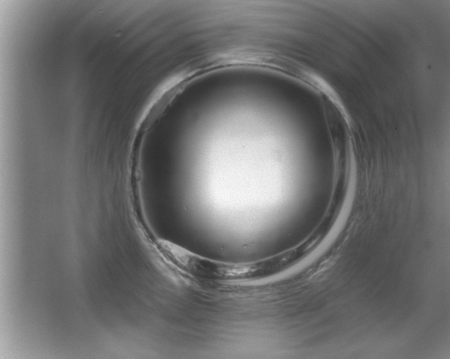 X0000067871146200604131229