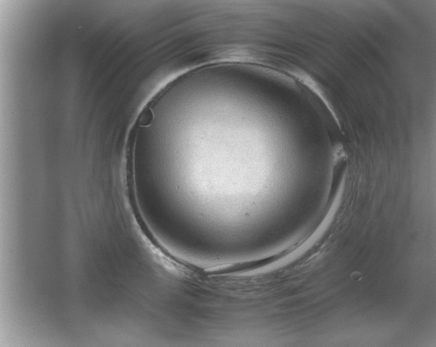 X0000067871147200604131229