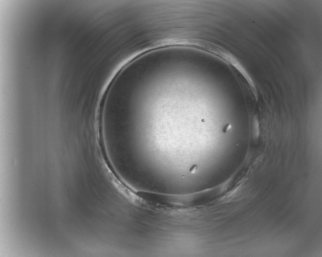 X0000067871148200604131229