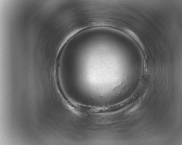 X0000067871149200604131229