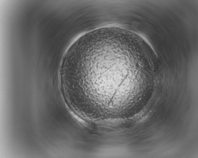 X0000067871151200604131229