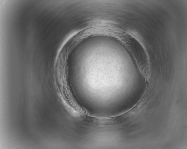 X0000067871152200604131229