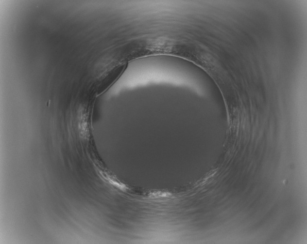 X0000067871154200604131229