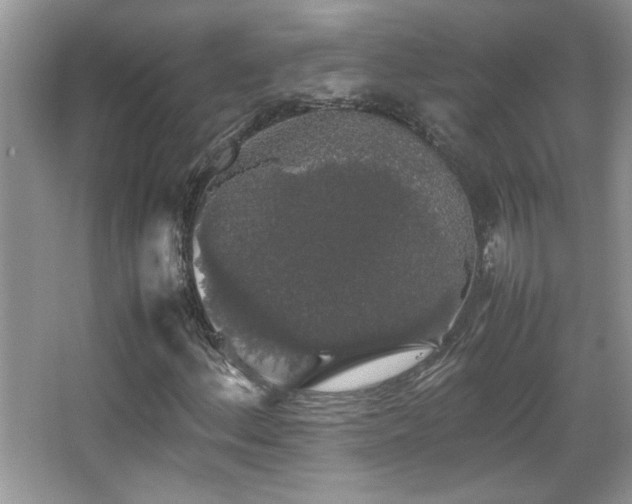 X0000067871156200604131229