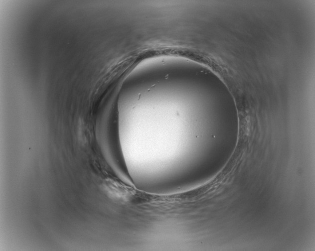 X0000067871157200604131229