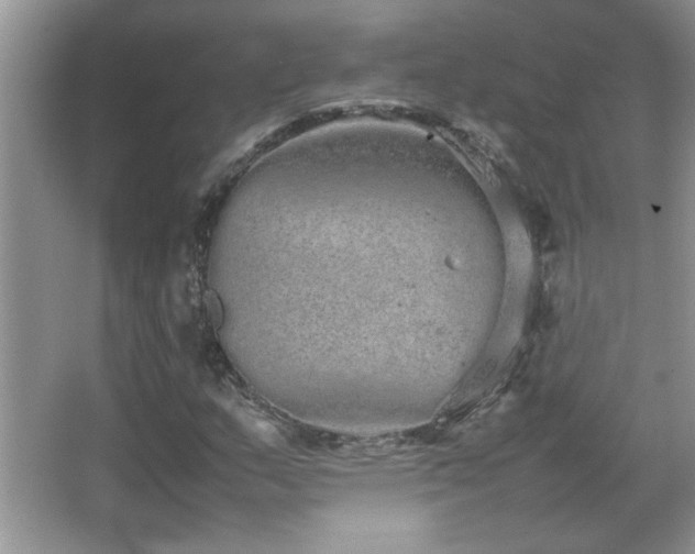 X0000067871159200604131228