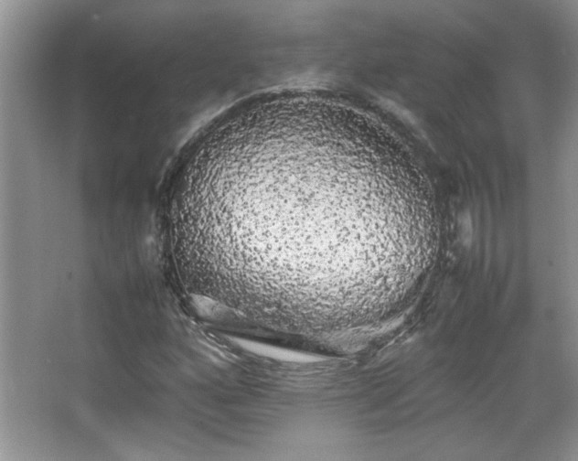 X0000067871160200604131228