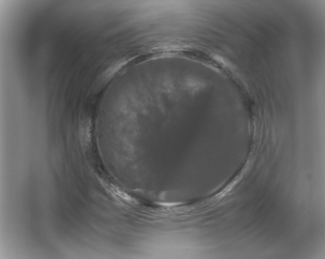 X0000067871161200604131228