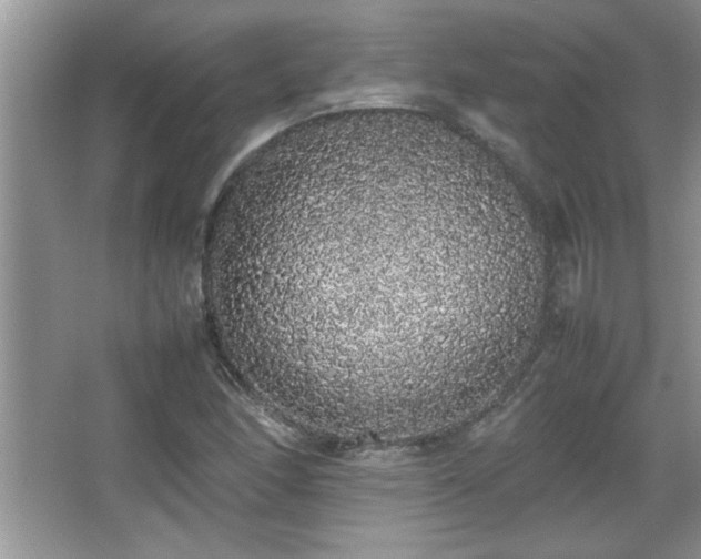 X0000067871166200604131228