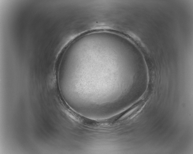 X0000067871167200604131228