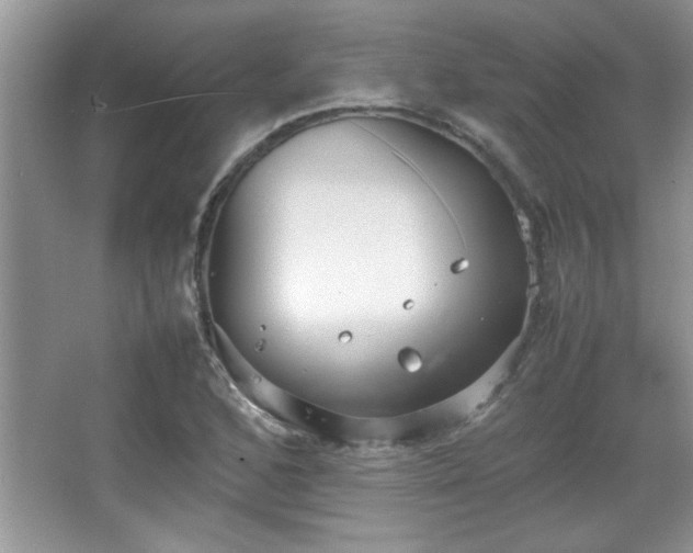 X0000067871168200604131228