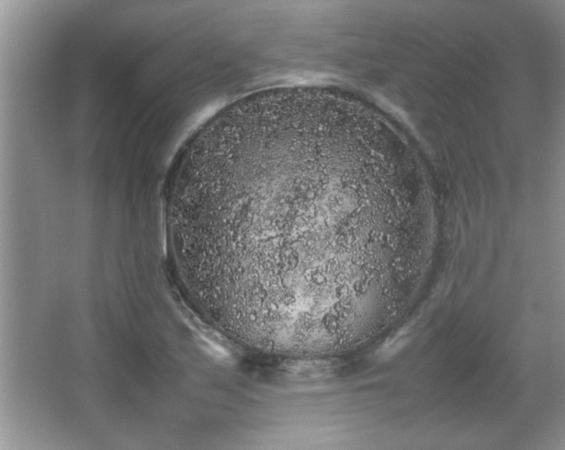 X0000067871171200604131228