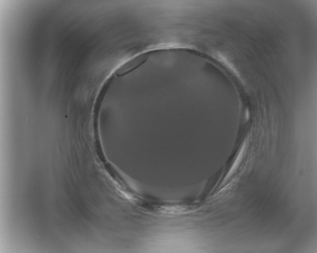 X0000067871173200604131228