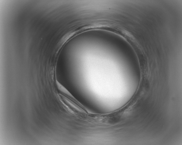 X0000067871177200604131228