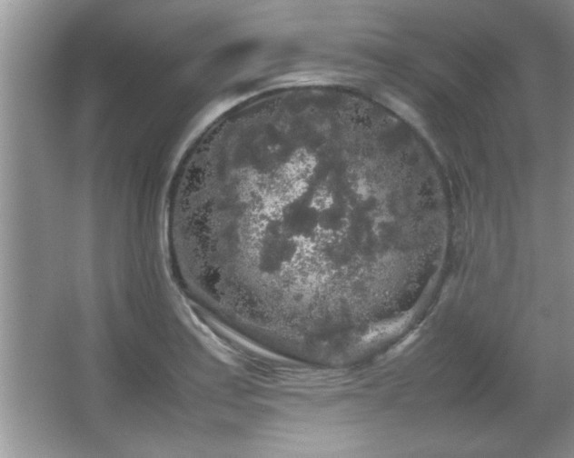 X0000067871179200604131228