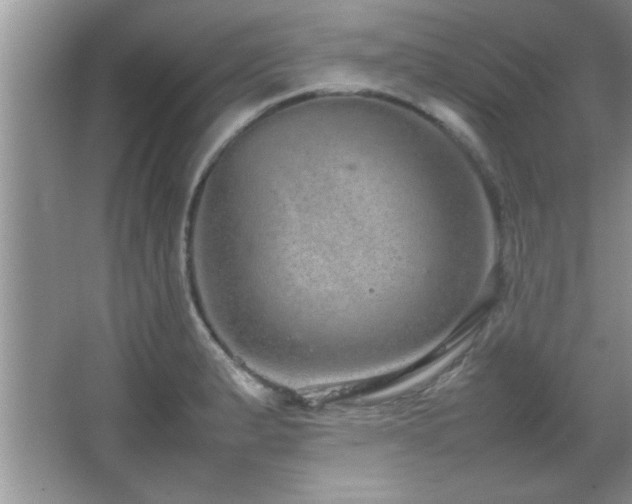 X0000067871183200604131228