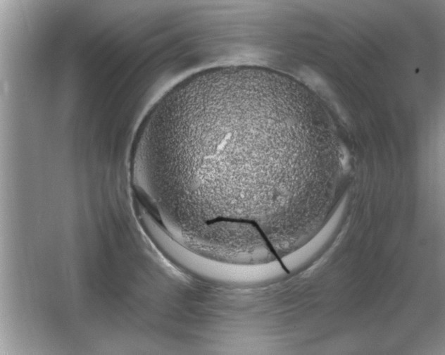 X0000067871184200604131228