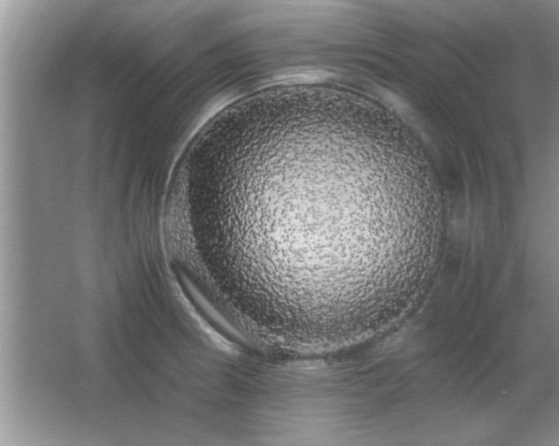 X0000067871186200604131228