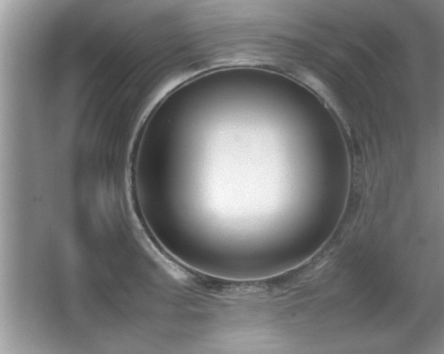 X0000067871187200604131228