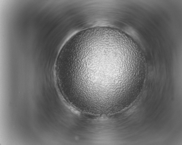 X0000067871190200604131228